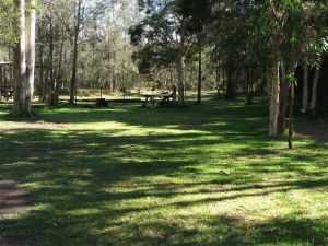 Jervis Bay Cabins And Hidden Creek Real Camping - Accommodation Search 6