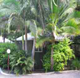 Nambour Rainforest Holiday Village - Accommodation Search 1