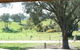 Hosanna Farm Retreat - thumb 0