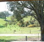Hosanna Farm Retreat - Accommodation Search