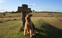 Rocky Mountains - Accommodation Search 7