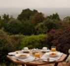 Barefoot Springs Bed and Breakfast - Accommodation Search