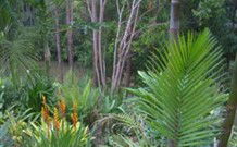 Old Convent River Retreat - Accommodation Search 1