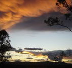 Silkwood B and B - Accommodation Search