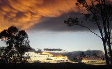 Silkwood B And B - Accommodation Search 1