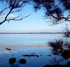 The Edgewater Bed and Breakfast - Accommodation Search