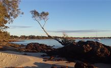 Tree Tops Bed And Breakfast Jervis Bay - Accommodation Search 6