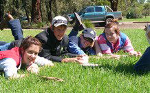Murwillumbah  YHA Mount Warning - Accommodation Search 2