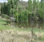Cedar Grove - Accommodation Search