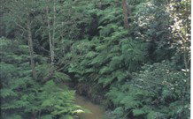 Eco Huts - Jervis Bay Getaways - Accommodation Search 1
