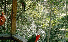 Eco Huts - Jervis Bay Getaways - Accommodation Search 2