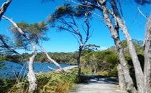 Emma's Cottage Vineyard - Accommodation Search 5