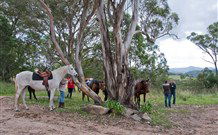 In Essentia Healing Hut Of Kangaroo Valley - Accommodation Search 1