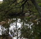 In Essentia Healing Hut of Kangaroo Valley - Accommodation Search