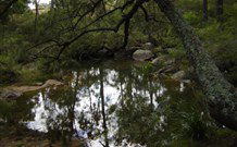 In Essentia Healing Hut Of Kangaroo Valley - Accommodation Search 0