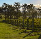 Hidden Treasure - Accommodation Search