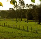 Stone Cottage Mittagong - Accommodation Search