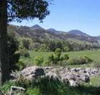 Woolshed Hill Estate - Accommodation Search