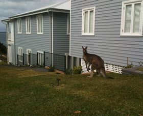 Hyams Beach Bed And Breakfast - Accommodation Search 6