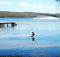 Dungowan Waterfront  Accommodation - Accommodation Search