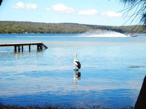 Dungowan Waterfront  Accommodation - Accommodation Search 0