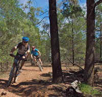 Back Yamma State Forest
