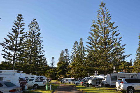 NRMA Port Macquarie Breakwall Holiday Park - Accommodation Search 5