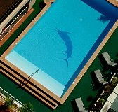 Pacific International Hotel - Accommodation Search