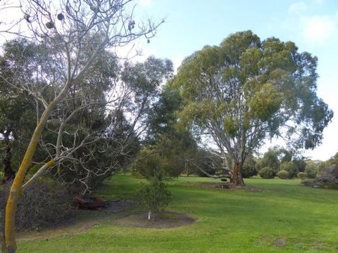 Lemontree Cottage Kangaroo Island - Accommodation Search 2