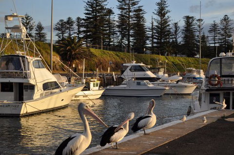 Nautica Accommodation Gerringong - Accommodation Search 2