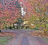 Rustic Spirit - Accommodation Search