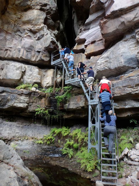 Takarakka Bush Resort Carnarvon Gorge - Accommodation Search 0