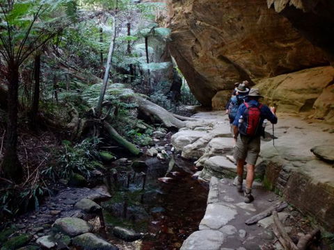 Takarakka Bush Resort Carnarvon Gorge - Accommodation Search 6