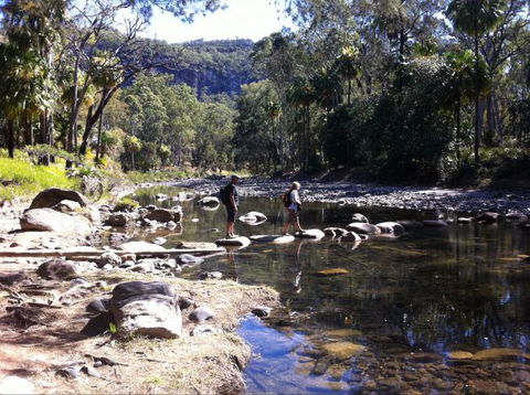 Takarakka Bush Resort Carnarvon Gorge - Accommodation Search 9