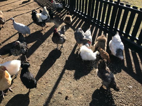 The Woods Farm - Accommodation Search 4