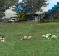 Gaddleen Grove Cottages - Accommodation Search