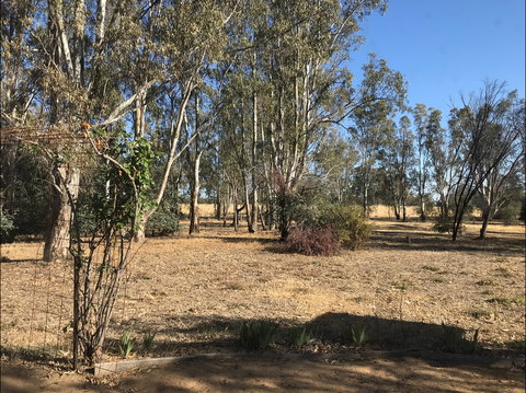 Kadesh Mudbrick Cottage - Accommodation Search 0