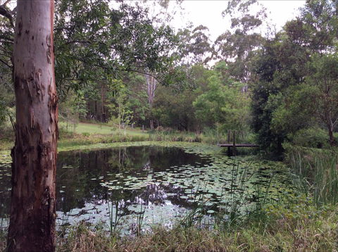 Maleny Country Cottages - Accommodation Search 3