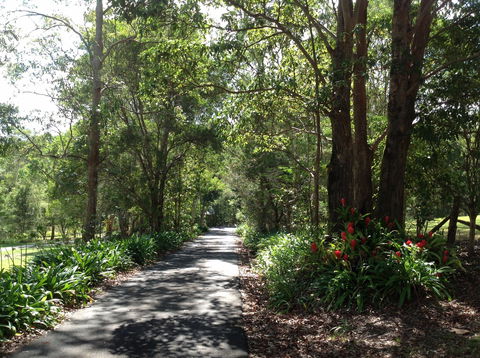 Maleny Country Cottages - Accommodation Search 8