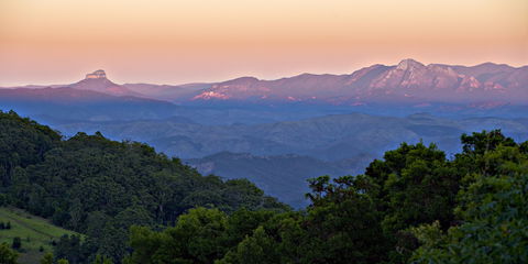 O'Reilly's Rainforest Retreat - Accommodation Search 1