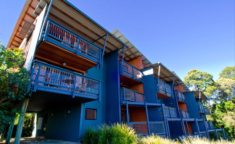 O'Reilly's Rainforest Retreat - Accommodation Search 7