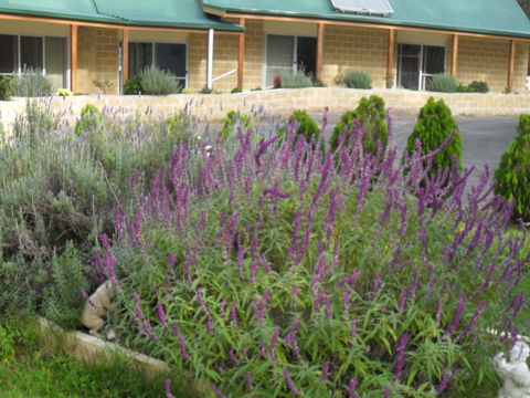 The Malone's Bed And Breakfast Guest Rooms - Accommodation Search 2
