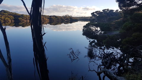 Vivonne Bay Island Getaway - Accommodation Search 6