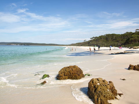 Waratah Cottage - Accommodation Search 9