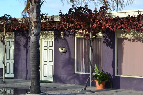 Barossa Gateway Motel - Accommodation Search 7