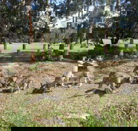 Golf View Motel - Accommodation Search