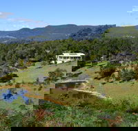 Golden Wattle - Kiaroo - Accommodation Search
