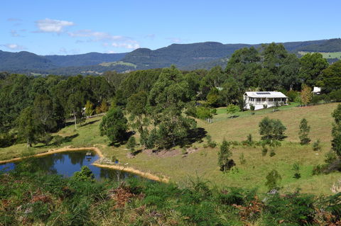 Golden Wattle - Kiaroo - Accommodation Search 0