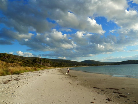 Harpers On The Beach - Accommodation Search 0