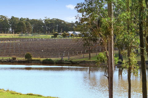 Ironbark Hill Villas - Accommodation Search 9